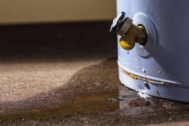 Best Flood restoration services  in Grovetown, GA