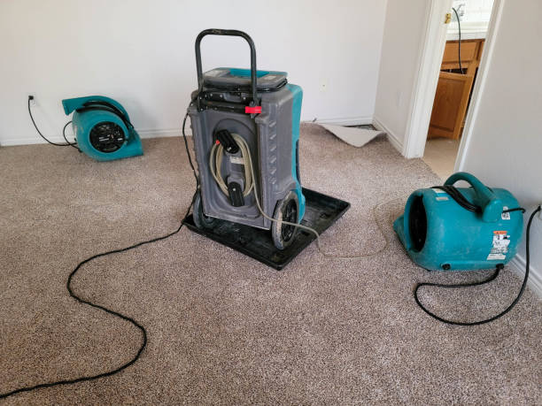 Best Water damage contractors near me  in Grovetown, GA