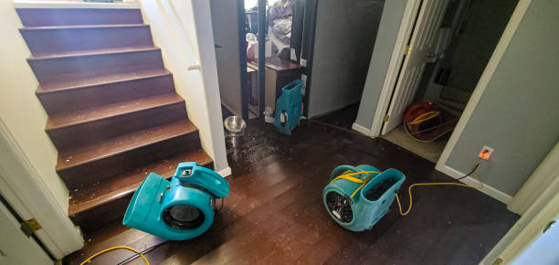 Best Residential water damage restoration  in Grovetown, GA