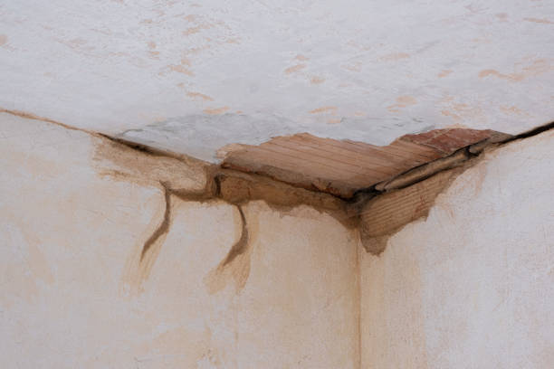Best Water damage contractors near me  in Grovetown, GA
