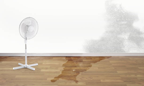 Water damage restoration process in Grovetown, GA
