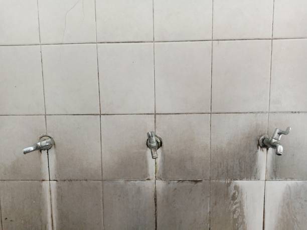 Best Professional water damage repair  in Grovetown, GA