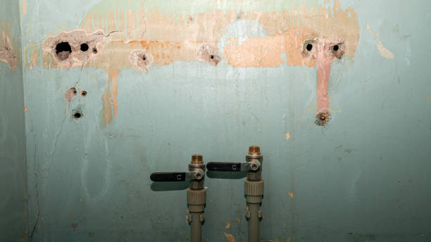 Best Commercial water damage restoration  in Grovetown, GA