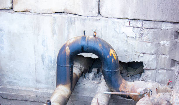 Best Mold removal after water damage  in Grovetown, GA