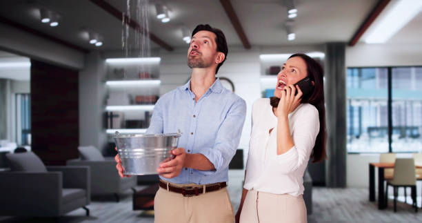 Best Carpet water damage restoration  in Grovetown, GA